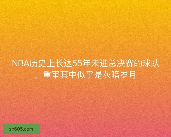 NBA历史上长达55年未进总决赛的球队,重审其中似乎是灰暗岁月 NBA历史上长达55年未进总决赛的球队,重审其中似乎是灰暗岁月