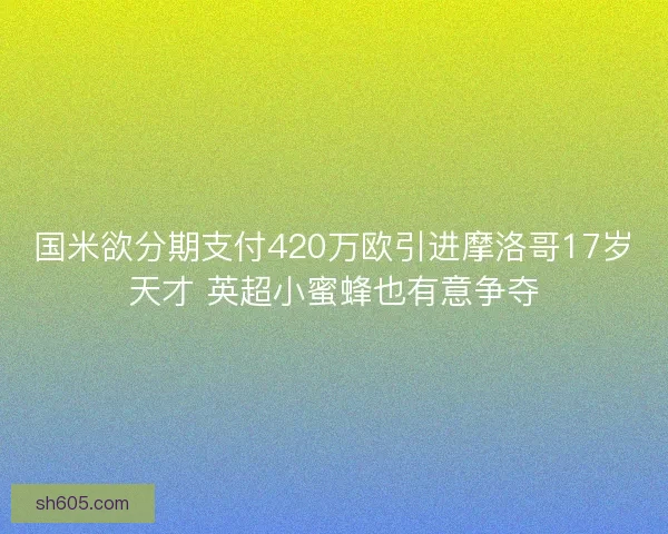 国米欲分期支付420万欧引进摩洛哥17岁天才 英超小蜜蜂也有意争夺